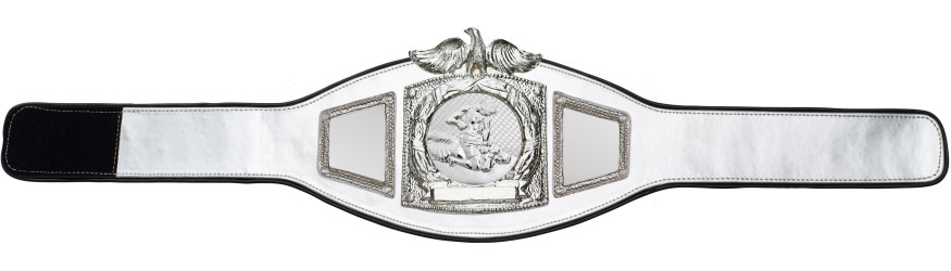 PROEAGLE MMA CHAMPIONSHIP BELT - PROEAGLE/S/MMAS - AVAILABLE IN 6+ COLOURS PROEAGLE MMA CHAMPIONSHIP BELT - PROEAGLE/S/MMAS - AVAILABLE IN 6+ COLOURS